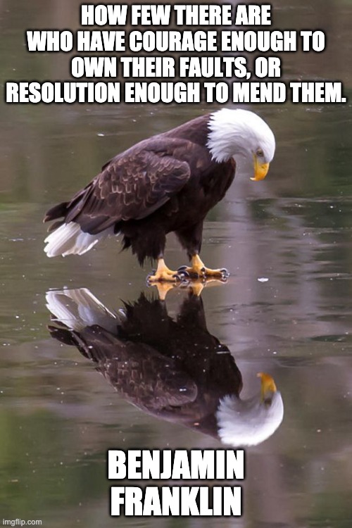 Self Reflection Quote | HOW FEW THERE ARE WHO HAVE COURAGE ENOUGH TO OWN THEIR FAULTS, OR RESOLUTION ENOUGH TO MEND THEM. BENJAMIN FRANKLIN | image tagged in eagle's reflection | made w/ Imgflip meme maker