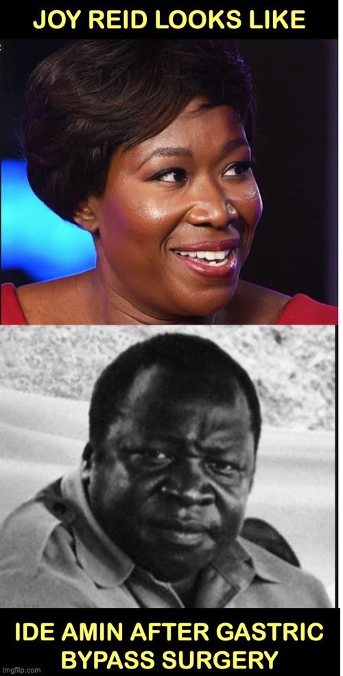 Joy Reid | image tagged in dictator | made w/ Imgflip meme maker