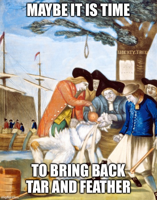Colonists tar & feather tax collector | MAYBE IT IS TIME TO BRING BACK TAR AND FEATHER | image tagged in colonists tar feather tax collector | made w/ Imgflip meme maker
