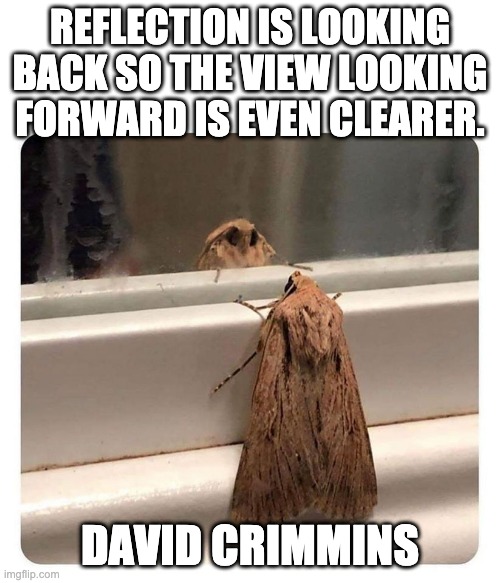 Self reflection of the reflection moth | REFLECTION IS LOOKING BACK SO THE VIEW LOOKING FORWARD IS EVEN CLEARER. DAVID CRIMMINS | image tagged in reflection moth | made w/ Imgflip meme maker