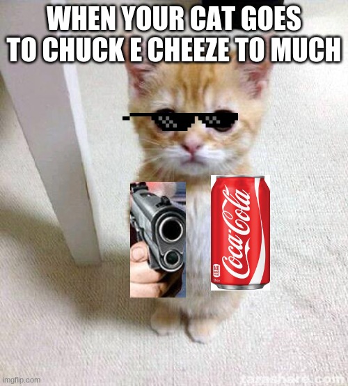 savage little kitty | WHEN YOUR CAT GOES TO CHUCK E CHEEZE TO MUCH | image tagged in memes,cute cat | made w/ Imgflip meme maker