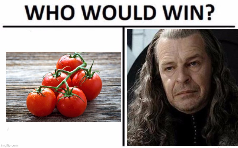 Denetor vs. Tomatoes | image tagged in memes,who would win,denetor,tomatoes | made w/ Imgflip meme maker