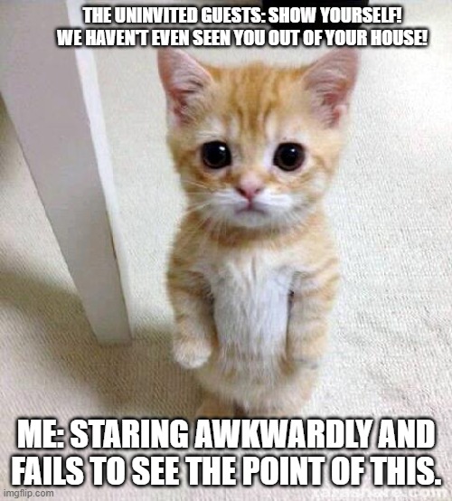 Cute Cat Meme | THE UNINVITED GUESTS: SHOW YOURSELF! WE HAVEN'T EVEN SEEN YOU OUT OF YOUR HOUSE! ME: STARING AWKWARDLY AND FAILS TO SEE THE POINT OF THIS. | image tagged in memes,cute cat | made w/ Imgflip meme maker