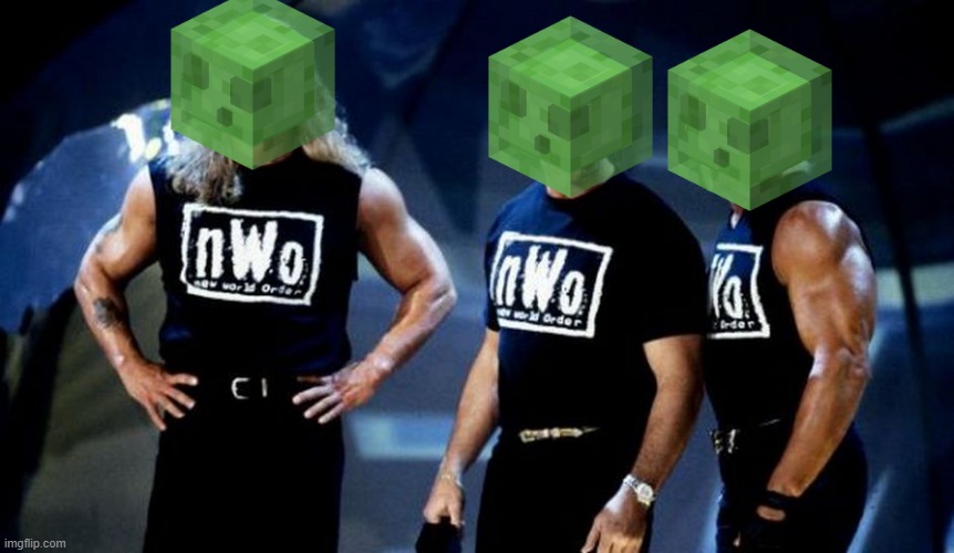 nWo or NWO | image tagged in nwo or nwo | made w/ Imgflip meme maker