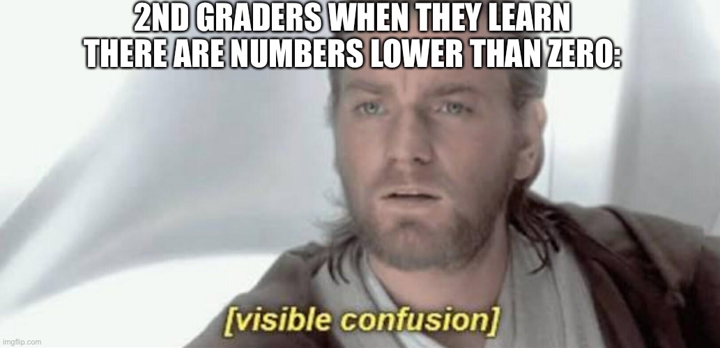 Visible Confusion | 2ND GRADERS WHEN THEY LEARN THERE ARE NUMBERS LOWER THAN ZERO: | image tagged in visible confusion | made w/ Imgflip meme maker