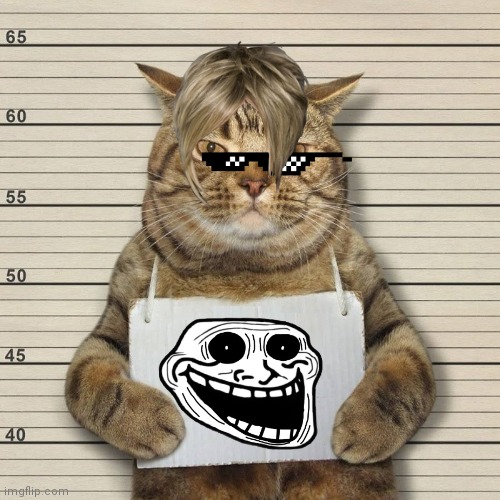 GUILTY CAT MUG SHOT BLANK | image tagged in guilty cat mug shot blank | made w/ Imgflip meme maker