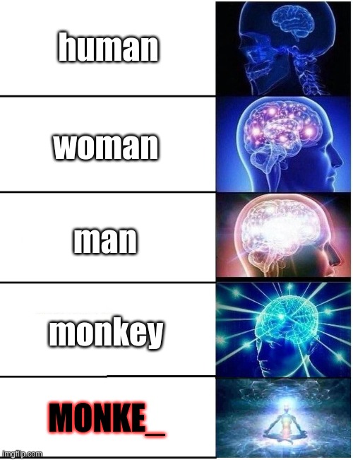 Expanding Brain 5 Panel | human; woman; man; monkey; MONKE_ | image tagged in expanding brain 5 panel | made w/ Imgflip meme maker