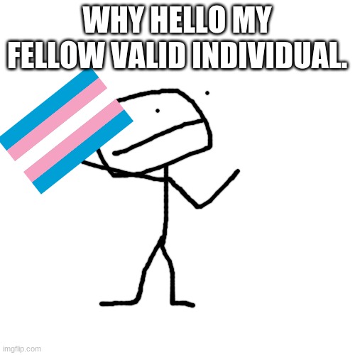 Blank Transparent Square Meme | WHY HELLO MY FELLOW VALID INDIVIDUAL. | image tagged in memes,blank transparent square | made w/ Imgflip meme maker