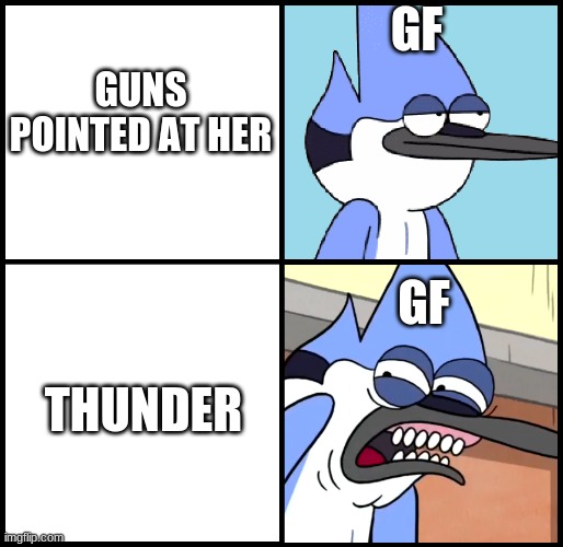 Mordecai disgusted | GF; GUNS POINTED AT HER; GF; THUNDER | image tagged in mordecai disgusted | made w/ Imgflip meme maker