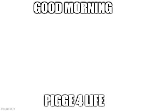Blank White Template | GOOD MORNING; PIGGE 4 LIFE | image tagged in blank white template | made w/ Imgflip meme maker