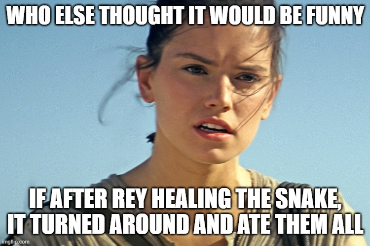 Star Wars Rey | WHO ELSE THOUGHT IT WOULD BE FUNNY; IF AFTER REY HEALING THE SNAKE, IT TURNED AROUND AND ATE THEM ALL | image tagged in star wars rey | made w/ Imgflip meme maker