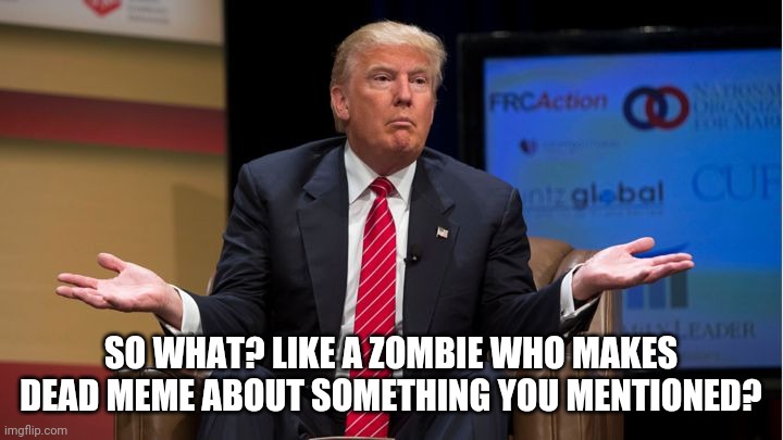 Who cares | SO WHAT? LIKE A ZOMBIE WHO MAKES DEAD MEME ABOUT SOMETHING YOU MENTIONED? | image tagged in who cares | made w/ Imgflip meme maker