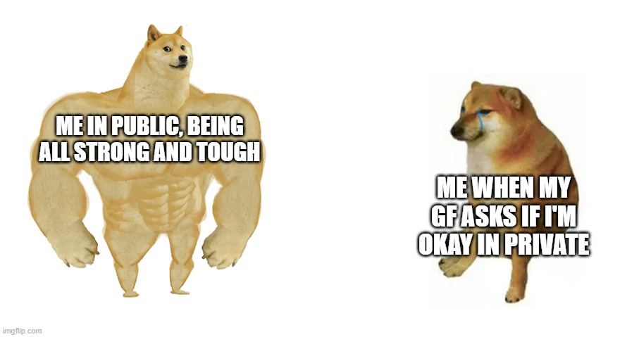 Image tagged in buff doge and crying cheems - Imgflip