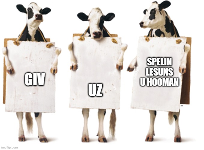 Give them spelling lessons | SPELIN LESUNS U HOOMAN; GIV; UZ | image tagged in chick-fil-a 3-cow billboard | made w/ Imgflip meme maker