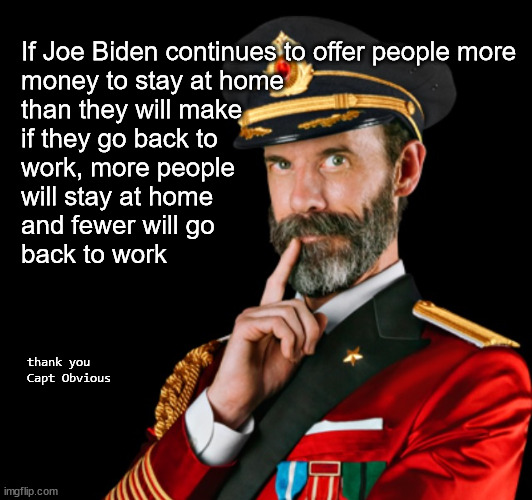 If you offer people money to stay home, they will | If Joe Biden continues to offer people more 
money to stay at home
than they will make 
if they go back to 
work, more people 
will stay at home 
and fewer will go 
back to work; thank you 
Capt Obvious | image tagged in captain obvious | made w/ Imgflip meme maker