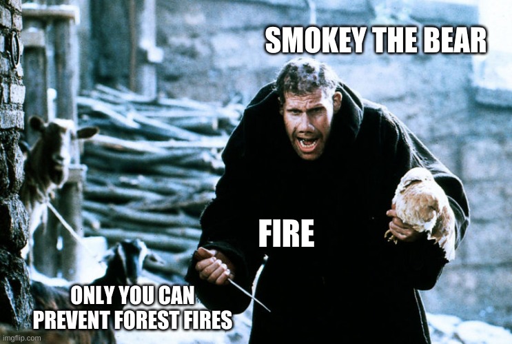 Hi ^ | SMOKEY THE BEAR; FIRE; ONLY YOU CAN PREVENT FOREST FIRES | image tagged in penitenziagite | made w/ Imgflip meme maker
