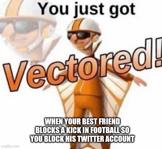 You just got vectored | WHEN YOUR BEST FRIEND BLOCKS A KICK IN FOOTBALL SO YOU BLOCK HIS TWITTER ACCOUNT | image tagged in you just got vectored | made w/ Imgflip meme maker