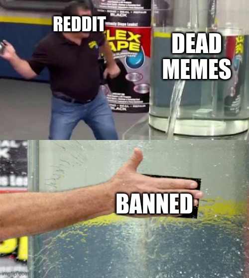 a day on Reddit | REDDIT; DEAD MEMES; BANNED | image tagged in flex tape | made w/ Imgflip meme maker