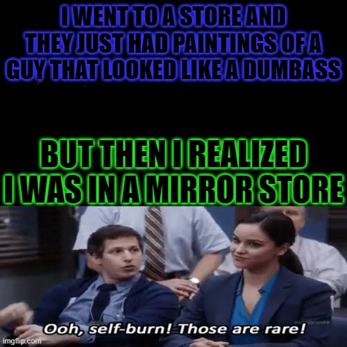 I need help..... | I WENT TO A STORE AND THEY JUST HAD PAINTINGS OF A GUY THAT LOOKED LIKE A DUMBASS; BUT THEN I REALIZED I WAS IN A MIRROR STORE | image tagged in self burn,burn ointment,mirror,memes,funny,fun | made w/ Imgflip meme maker