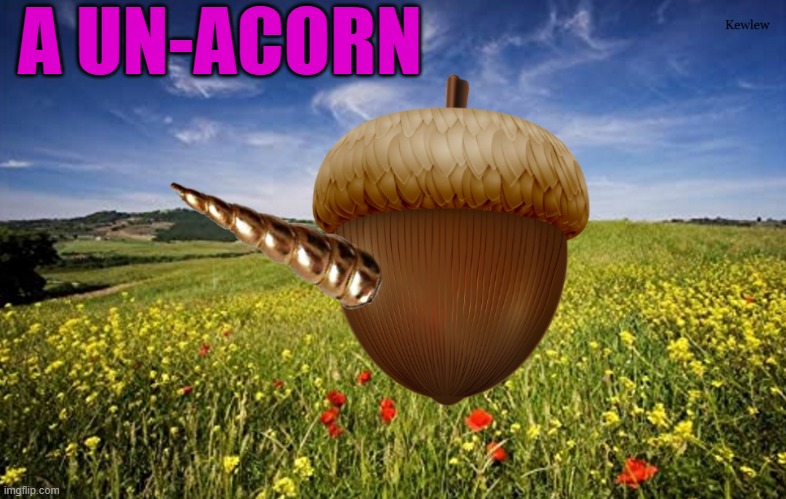 A UN-ACORN | made w/ Imgflip meme maker