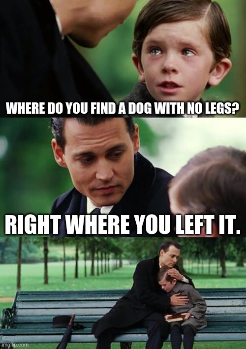 ... | WHERE DO YOU FIND A DOG WITH NO LEGS? RIGHT WHERE YOU LEFT IT. | image tagged in memes,finding neverland | made w/ Imgflip meme maker
