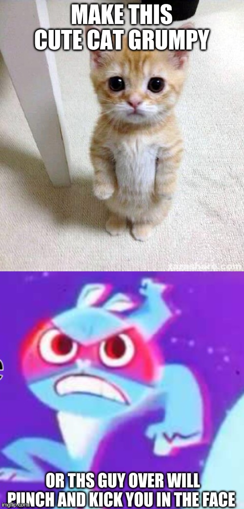 D O I T | MAKE THIS CUTE CAT GRUMPY; OR THS GUY OVER WILL PUNCH AND KICK YOU IN THE FACE | image tagged in memes,cute cat,get over here stupid splendid | made w/ Imgflip meme maker