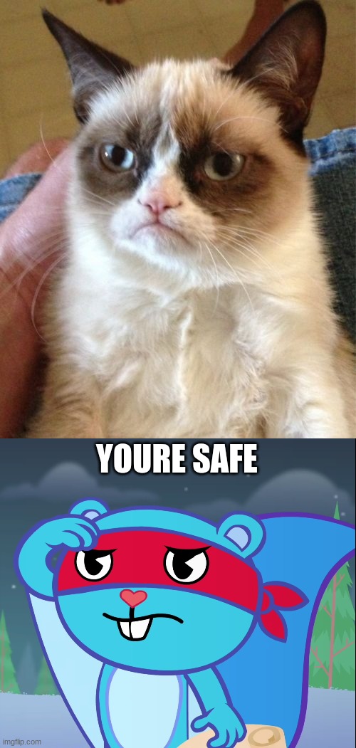 YOURE SAFE | image tagged in memes,grumpy cat,salute splendid htf | made w/ Imgflip meme maker