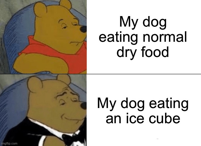 Ice cube or dry food | My dog eating normal dry food; My dog eating an ice cube | image tagged in memes,tuxedo winnie the pooh | made w/ Imgflip meme maker