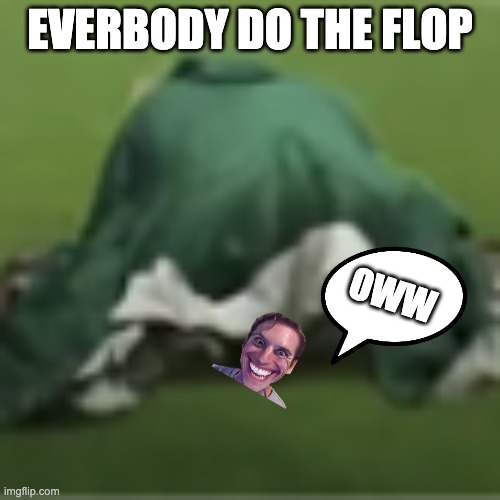 DRACO | EVERBODY DO THE FLOP; OWW | image tagged in funny | made w/ Imgflip meme maker