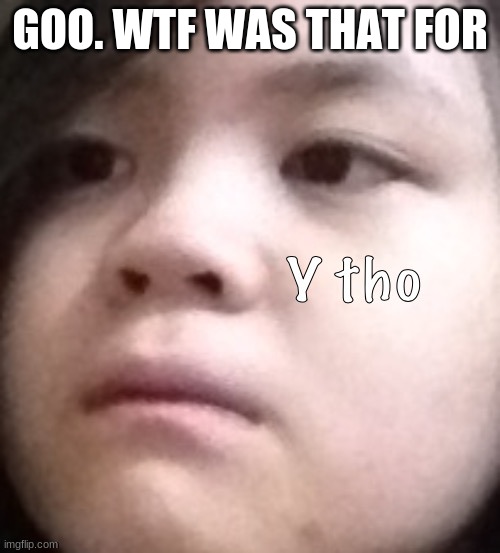 GOO. WTF WAS THAT FOR | made w/ Imgflip meme maker