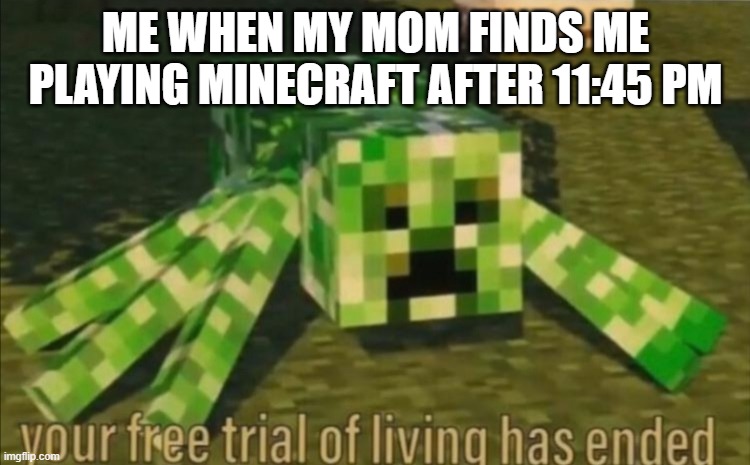 Your Free Trial of Living Has Ended | ME WHEN MY MOM FINDS ME PLAYING MINECRAFT AFTER 11:45 PM | image tagged in your free trial of living has ended | made w/ Imgflip meme maker