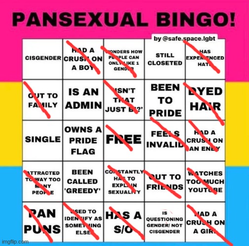 B I N G O | image tagged in pansexual bingo | made w/ Imgflip meme maker