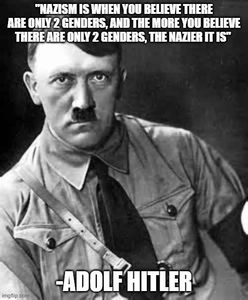 A quote from Hitler | "NAZISM IS WHEN YOU BELIEVE THERE ARE ONLY 2 GENDERS, AND THE MORE YOU BELIEVE THERE ARE ONLY 2 GENDERS, THE NAZIER IT IS"; -ADOLF HITLER | image tagged in adolf hitler,sjw,political correctness,humor,gender confusion,gender fluid | made w/ Imgflip meme maker