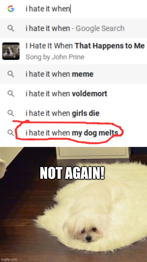come on! | NOT AGAIN! | image tagged in cursed,google search,dog,dogs | made w/ Imgflip meme maker