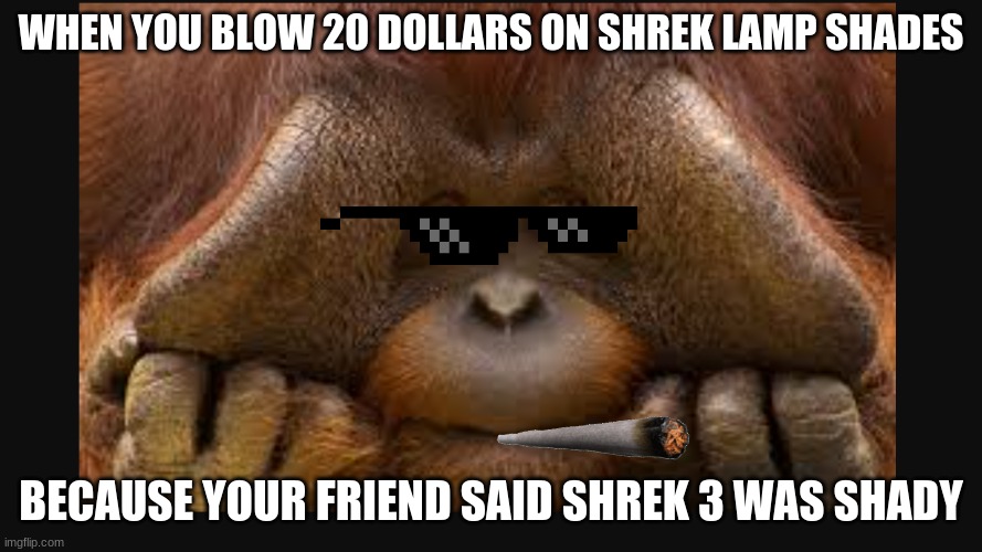 monke boi | WHEN YOU BLOW 20 DOLLARS ON SHREK LAMP SHADES; BECAUSE YOUR FRIEND SAID SHREK 3 WAS SHADY | image tagged in memes | made w/ Imgflip meme maker