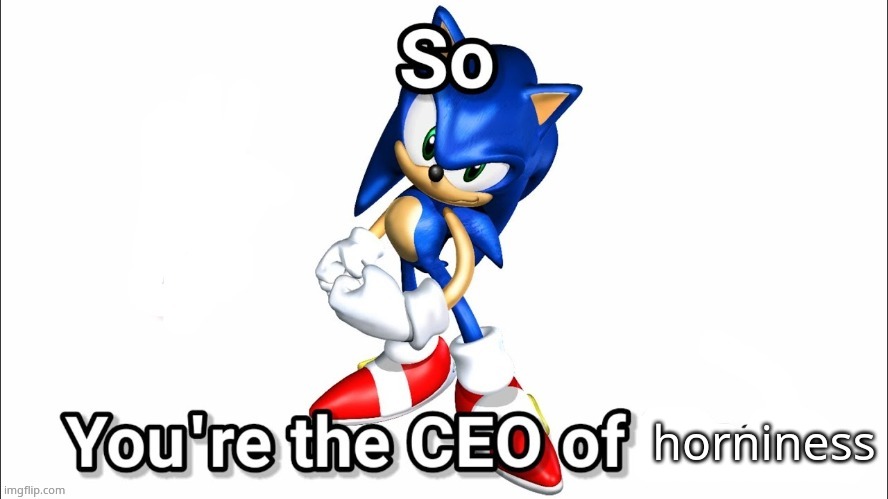 so you're the CEO of | horniness | image tagged in so you're the ceo of | made w/ Imgflip meme maker