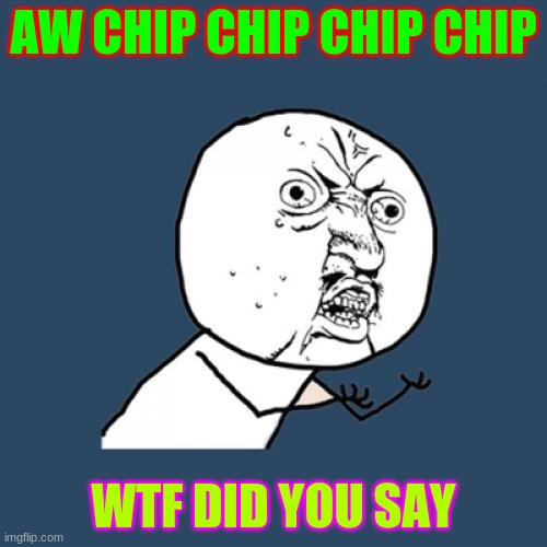 Y U No Meme | AW CHIP CHIP CHIP CHIP; WTF DID YOU SAY | image tagged in memes,y u no | made w/ Imgflip meme maker