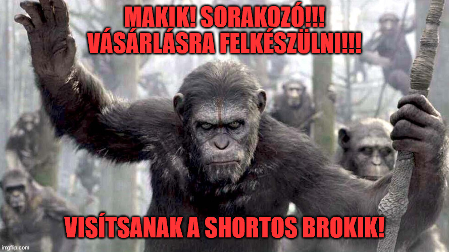 MAKIK! SORAKOZÓ!!!
VÁSÁRLÁSRA FELKÉSZÜLNI!!! VISÍTSANAK A SHORTOS BROKIK! | made w/ Imgflip meme maker