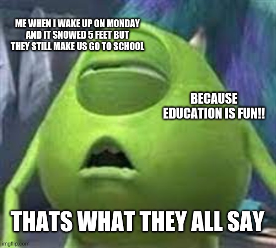 Why i hate school |  ME WHEN I WAKE UP ON MONDAY AND IT SNOWED 5 FEET BUT THEY STILL MAKE US GO TO SCHOOL; BECAUSE EDUCATION IS FUN!! THATS WHAT THEY ALL SAY | image tagged in me monday morning | made w/ Imgflip meme maker