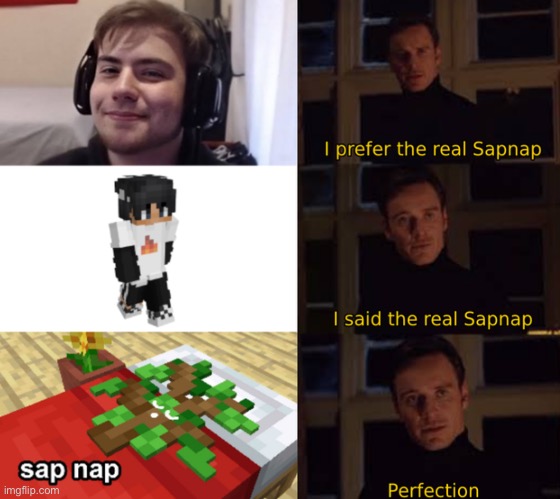 Sapnap | image tagged in i prefer the real | made w/ Imgflip meme maker