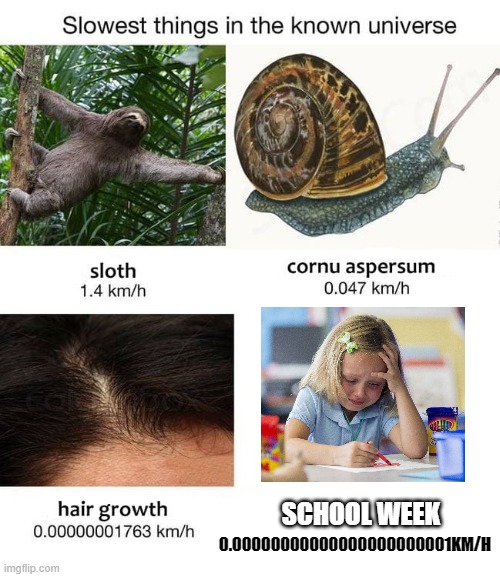 Slowest things | SCHOOL WEEK; 0.00000000000000000000001KM/H | image tagged in slowest things,funny,memes,meme,funny memes,funny meme | made w/ Imgflip meme maker