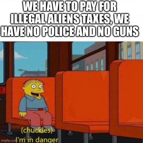 Chuckles, I’m in danger | WE HAVE TO PAY FOR ILLEGAL ALIENS TAXES, WE HAVE NO POLICE AND NO GUNS | image tagged in chuckles i m in danger | made w/ Imgflip meme maker