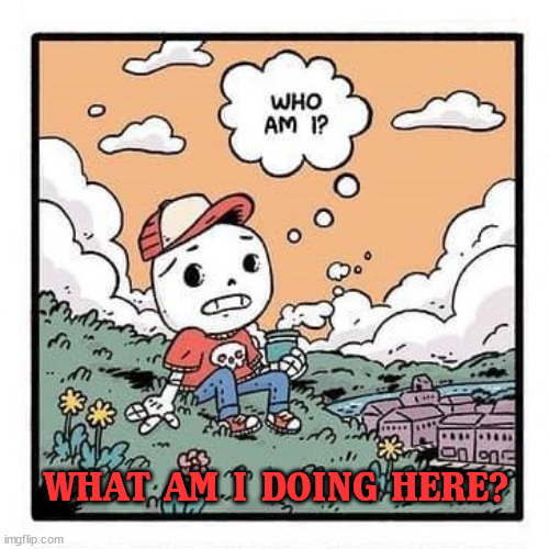 who_am_i | WHAT AM I DOING HERE? | image tagged in who_am_i | made w/ Imgflip meme maker