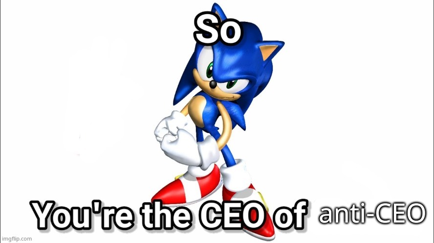 so you're the CEO of | anti-CEO | image tagged in so you're the ceo of | made w/ Imgflip meme maker