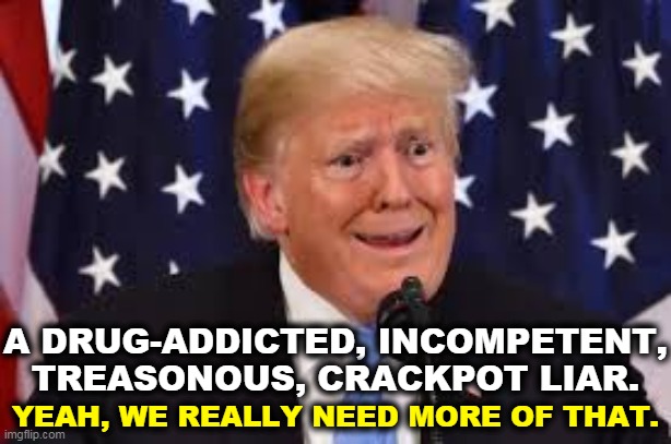 No thank you. | A DRUG-ADDICTED, INCOMPETENT, TREASONOUS, CRACKPOT LIAR. YEAH, WE REALLY NEED MORE OF THAT. | image tagged in trump dilated and taken aback,trump,loser,failure,retirement | made w/ Imgflip meme maker