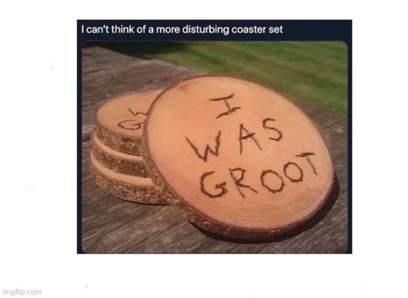 Good bye groot:( | image tagged in funny picture,blank white template,oof,oof size large | made w/ Imgflip meme maker