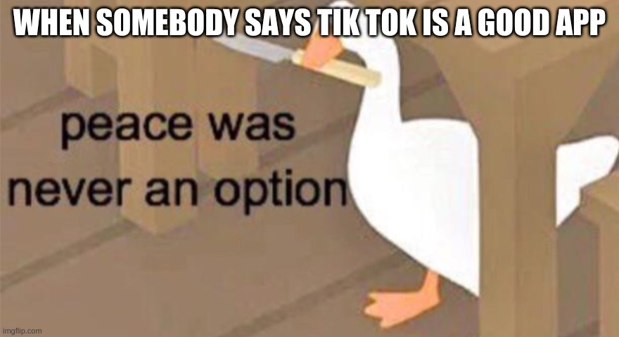 Untitled Goose Peace Was Never an Option | WHEN SOMEBODY SAYS TIK TOK IS A GOOD APP | image tagged in untitled goose peace was never an option | made w/ Imgflip meme maker