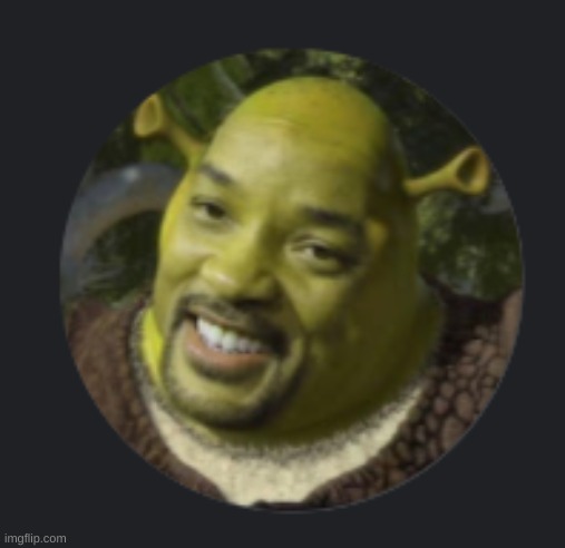 someone in my class has this as their profile pic and i am proud of them | image tagged in memes,shrek,profile picture | made w/ Imgflip meme maker