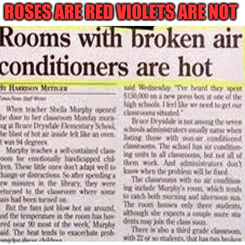 news flash | ROSES ARE RED VIOLETS ARE NOT | image tagged in funny | made w/ Imgflip meme maker