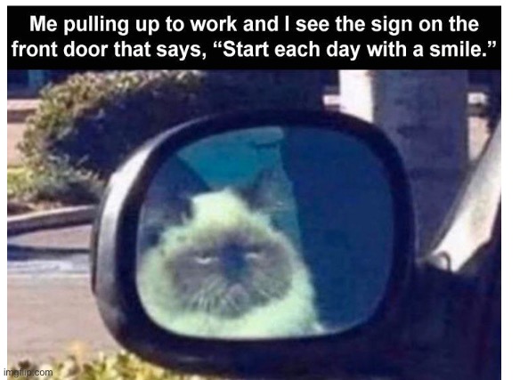 I hate Mondays | image tagged in blank,mondays,grumpy cat,work | made w/ Imgflip meme maker